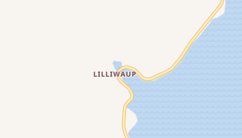 Lilliwaup, Washington map