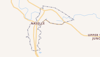 Naselle, Washington map