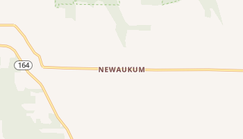 Newaukum, Washington map