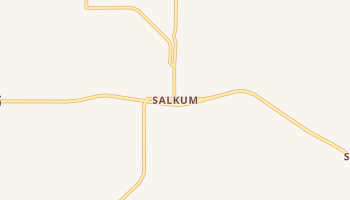 Salkum, Washington map