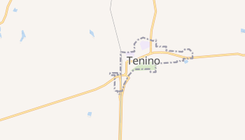 Tenino, Washington map