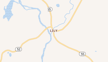 Lily, Wisconsin map
